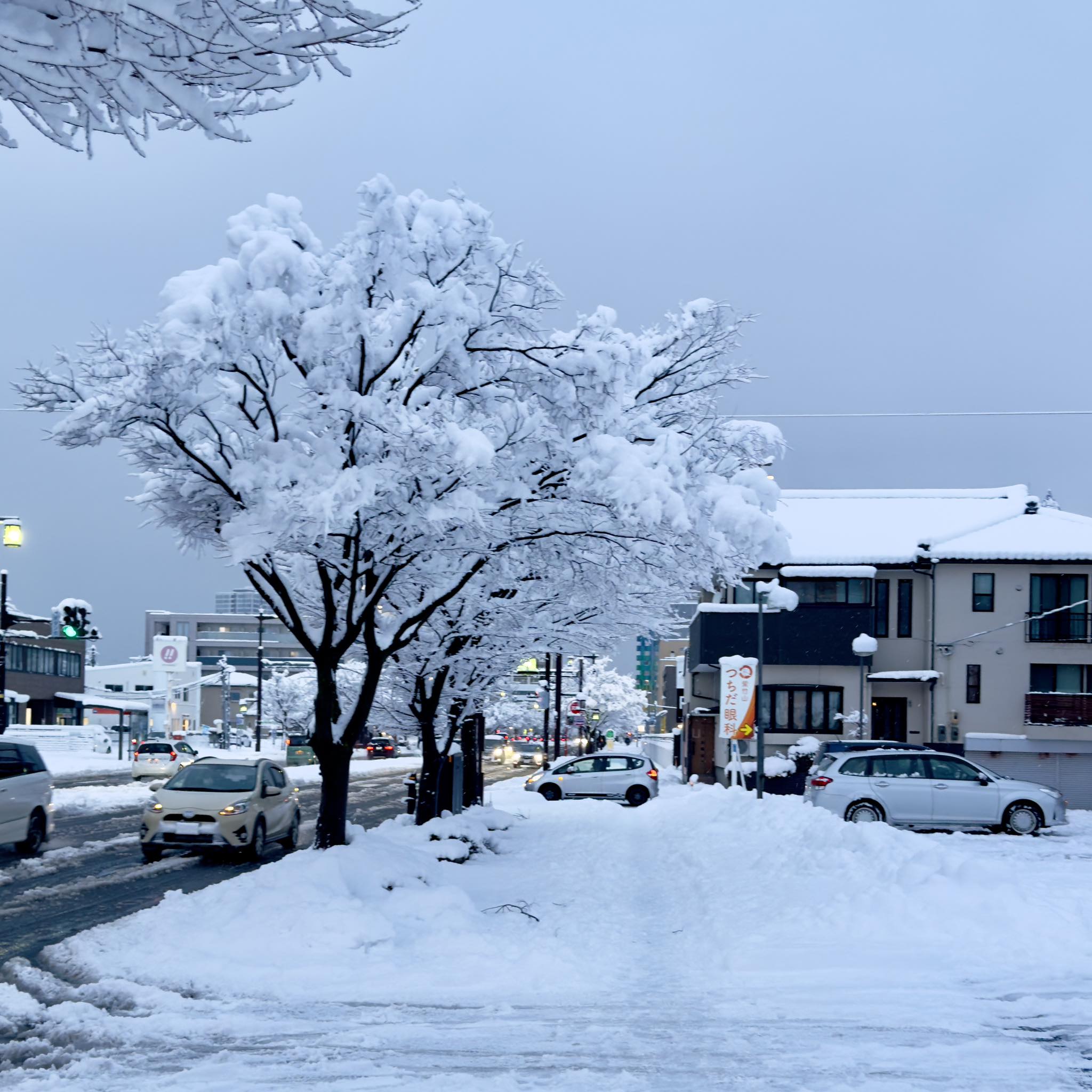 Niigata Winter
